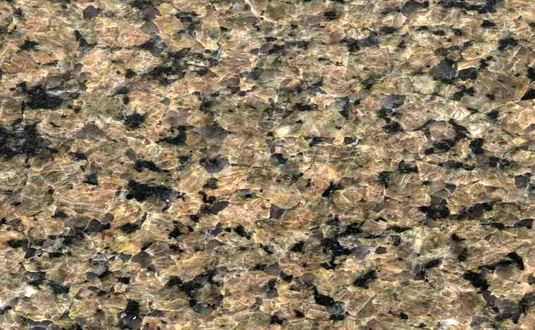 Tropic Brown